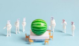 吃瓜爆料合集下载最新版,最新版深度解析，揭秘娱乐圈风云变幻