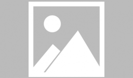 飞车最新s联赛车爆料,速度与激情的巅峰对决