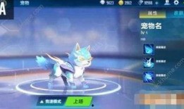 qq飞车新宠物爆料最新,神秘宠物降临！QQ飞车新宠物爆料抢先看