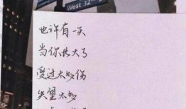 最新爆料解说文案短句,揭秘幕后真相，短句解读事件全貌