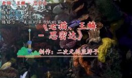 天涯怪客最新爆料倪海杉,倪海杉最新动态大曝光！