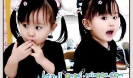 小菲最新爆料新闻事件