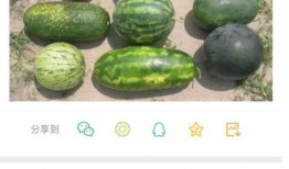 最新新瓜爆料,神秘事件背后真相揭晓