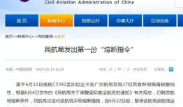 航线更新爆料最新消息,最新消息揭示航线调整与新增动态